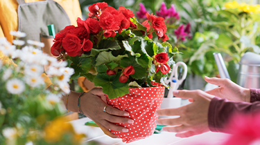 Trivial benefits in kind and the advantages they give to employers