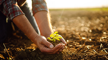 Going green – The financial benefits of investing in a cleaner future